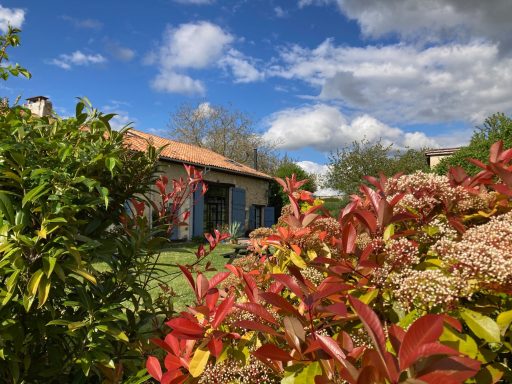 Huis omringd door groene en kleurrijke planten onder een blauwe sky met wolken.